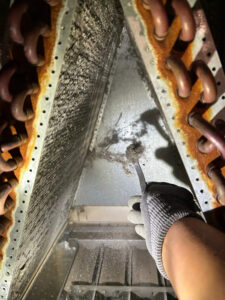Fort Collins AC repair technician cleaning a heavily soiled evaporator coil to restore airflow and cooling efficiency