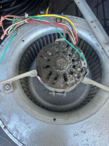 Fort Collins AC repair technician inspecting a heavily soiled indoor fan assembly removed for cleaning to restore airflow and air quality